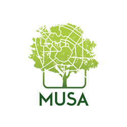 musa
